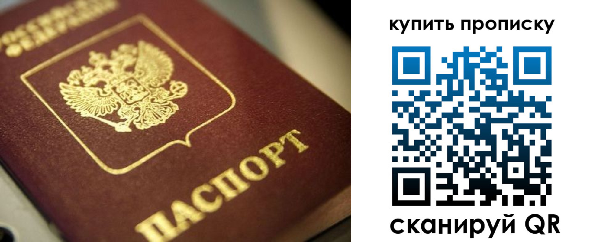 прописка поиск в Вышнем Волочке